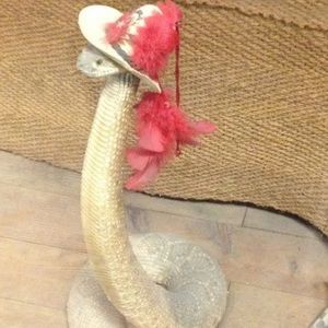 Meet your Posher, Trudy